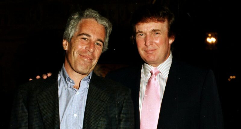 Just what is the truth about Donald Trump and Jeffrey Epstein?