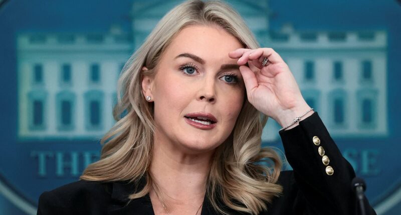 Kaitlan Collins triggers tense White House press room briefing