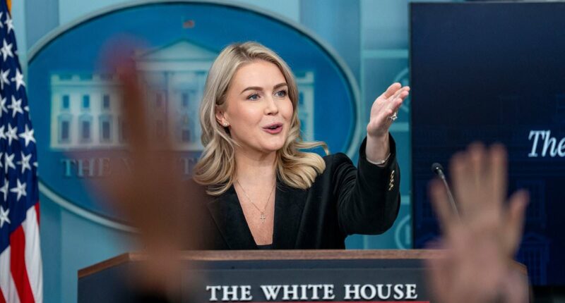 Karoline Leavitt issues furious tirade over report Trump is set to upend his Cabinet