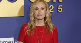 Kathy Hilton's husband calls police after burglars seen in mansion