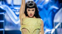 Katy Perry demanding $5m from disabled vet in legal war over mansion