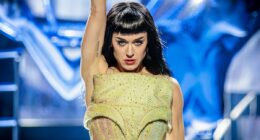 Katy Perry demanding $5m from disabled vet in legal war over mansion