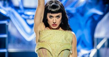 Katy Perry demanding $5m from disabled vet in legal war over mansion