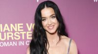 Katy Perry's legal victory in Montecito mansion