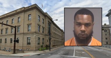 Kidnapper asked for low bond because he will be a dad: Cops