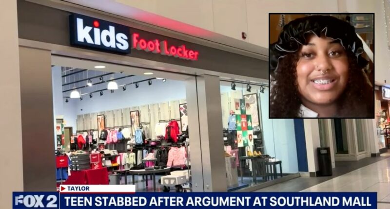 Shopper at Kids Foot Locker Allegedly Stabs Teen Following...