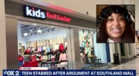 Kids Foot Locker shopper called 'broke b—,' stabs teen: Cops