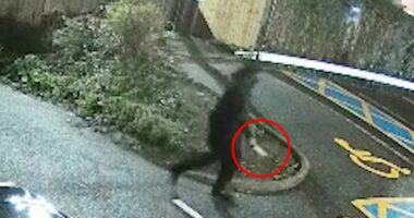 Knifeman in train rampage 'had history of mental health issues' 