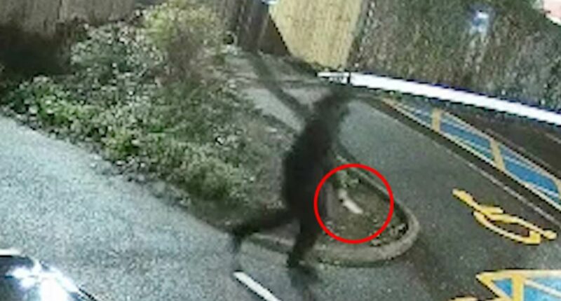 Knifeman in train rampage 'had history of mental health issues' 