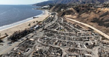 LA fire crews told to abandon smoldering blaze that reignited as Palisades Fire: Report