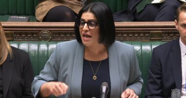 Labour unveils 'tough' crackdown handing asylum seekers cash to leave