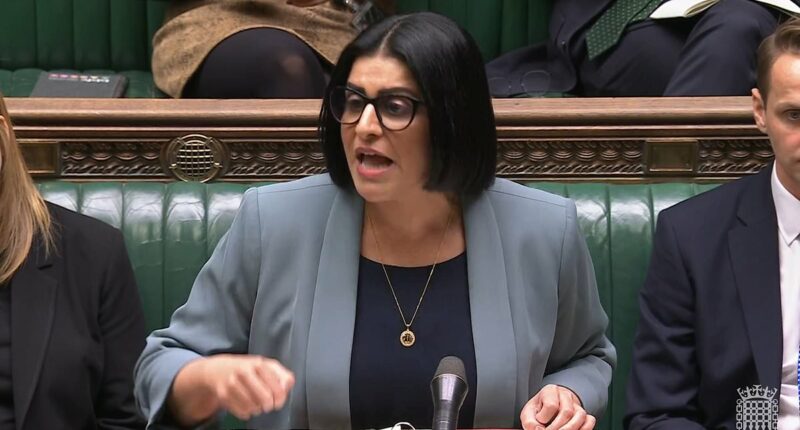 Labour unveils 'tough' crackdown handing asylum seekers cash to leave