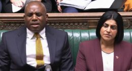 Lammy branded a 'bullsh***er' on live TV over prisoner release bungles