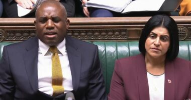Lammy branded a 'bullsh***er' on live TV over prisoner release bungles