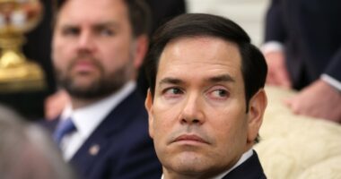 Lawmakers say US secretary of state rowed back on Ukraine peace plan