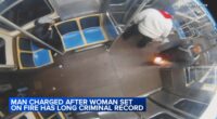 Lawrence Reed, suspect after woman set on fire in CTA Blue Line train attack in Chicago, has long criminal history
