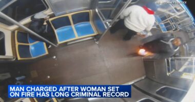 Lawrence Reed, suspect after woman set on fire in CTA Blue Line train attack in Chicago, has long criminal history