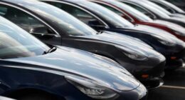 Lawsuit blames Tesla design flaws for crash that killed Washington state woman injured her husband