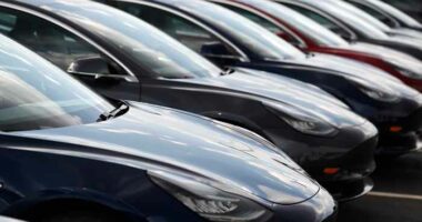 Lawsuit blames Tesla design flaws for crash that killed Washington state woman injured her husband