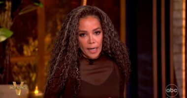 Liberal fury threatens to shut down Democratic leader as staffer abruptly exits