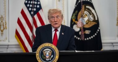 Liberals blame Trump for 'terror attack' against National Guard