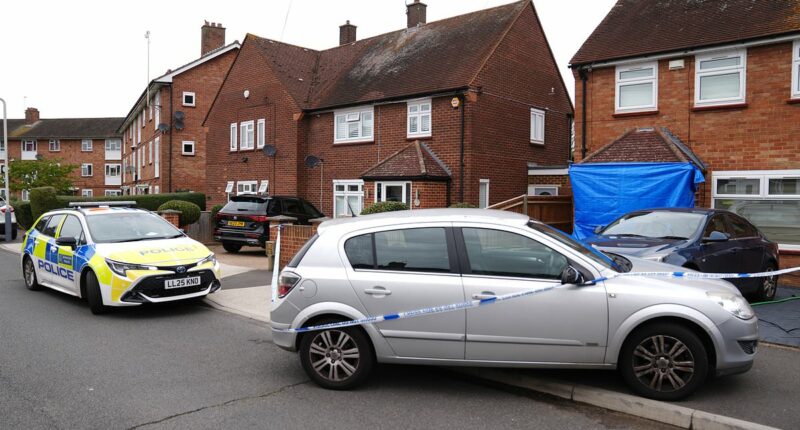 Life in Britain's asylum hotspot where dog walker was stabbed to death