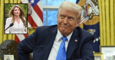 Lindsey Halligan's name is still listed on several cases