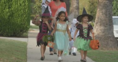 Local law enforcement talk safety plan for Halloween and weekend