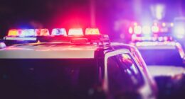 Long Island ‘porch pirate’ ring busted