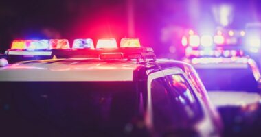 Long Island ‘porch pirate’ ring busted