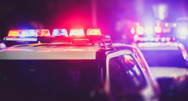 Long Island ‘porch pirate’ ring busted