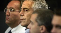 Looming vote in the US marks crucial moment for Epstein files