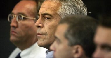 Looming vote in the US marks crucial moment for Epstein files