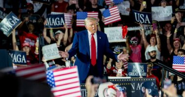 MAGA X accounts exposed as being run from far-flung foreign countrie