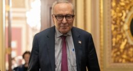 MAGA firebrand DEFENDS Chuck Schumer and offers wild Democrat theory