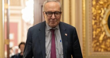 MAGA firebrand DEFENDS Chuck Schumer and offers wild Democrat theory