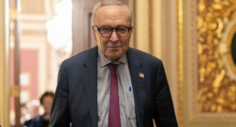 MAGA firebrand DEFENDS Chuck Schumer and offers wild Democrat theory