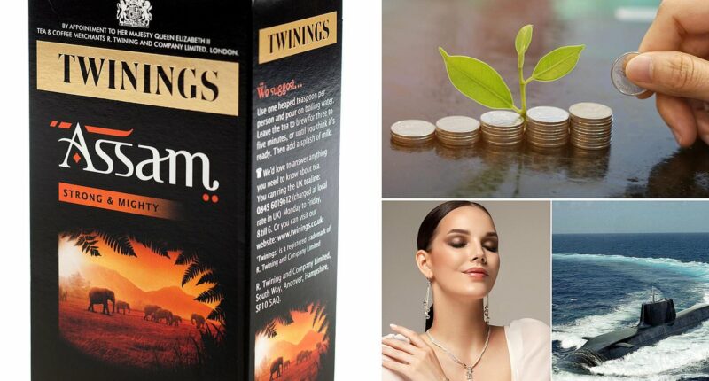 MIDAS SHARE TIPS: Share spoils with family-run firms