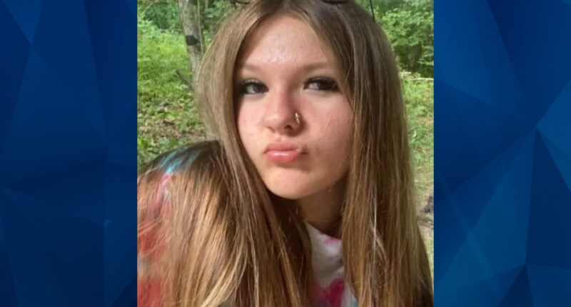 MISSING: Search Continues a Month After 13-Year-Old Girl Vanishes While in Foster Care