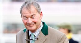 MP Rupert Lowe says thieves stole headlights from his wife's Porsche