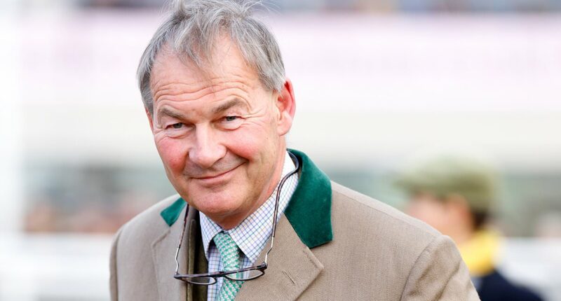 MP Rupert Lowe says thieves stole headlights from his wife's Porsche