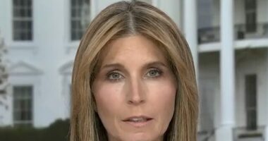 MSNBC's Wallace: 'Cracks in the MAGA Coalition Are Getting Bigger and Bigger by the Day'