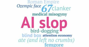 AI Slop has been named the Macquarie Dictionary Word of the Year.