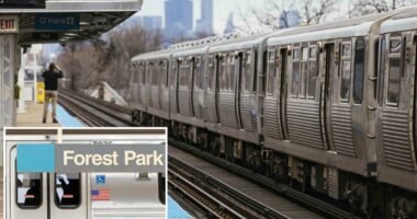 Madman torches female straphanger, 26, on Chicago train