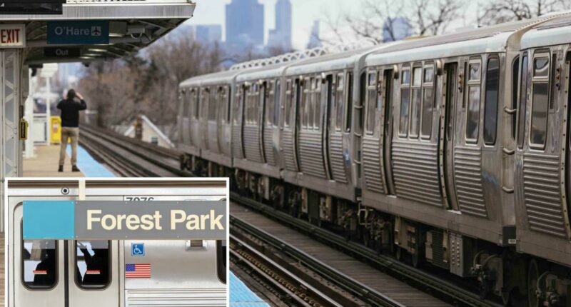 Madman torches female straphanger, 26, on Chicago train