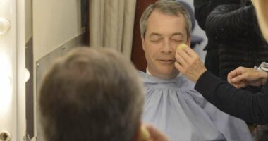 Make-up artists 'used bodily fluids on Farage during BBC appearances'
