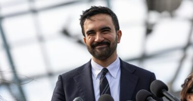 Mamdani backs Palestinian activist in legislative race where battle with ‘Israeli lobby’ a key issue