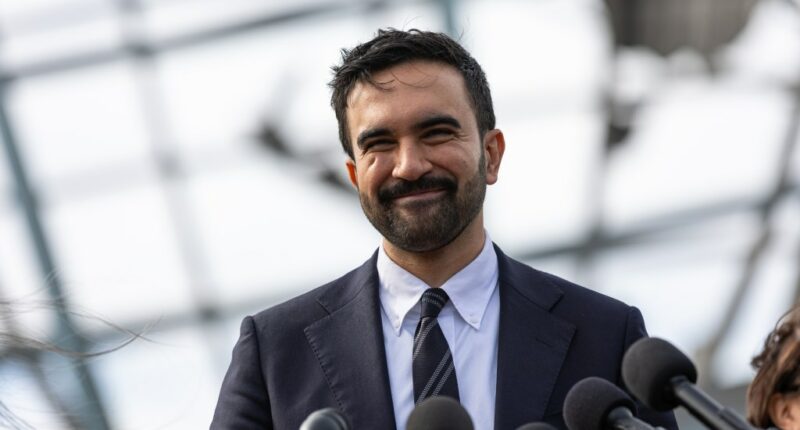 Mamdani backs Palestinian activist in legislative race where battle with ‘Israeli lobby’ a key issue