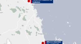 Man, 18, charged after cat killed and driver assaulted in alleged carjacking spree