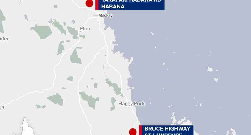 Man, 18, charged after cat killed and driver assaulted in alleged carjacking spree